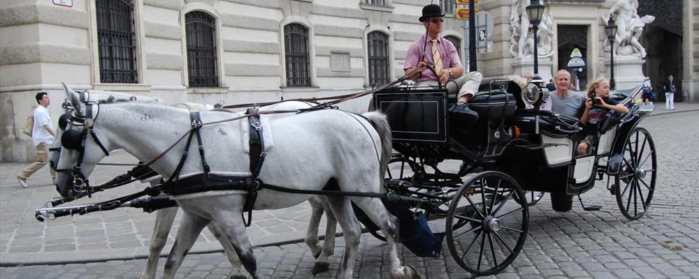 Vienna Old Town City Center